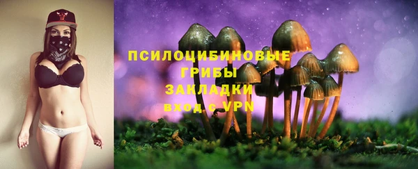 гидра Алексеевка