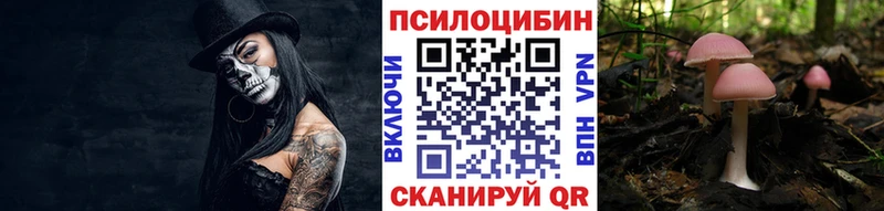 Псилоцибиновые грибы Psilocybe Челябинск