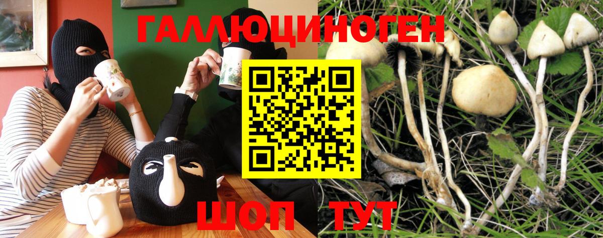 Галлюциногенные грибы ЛСД  Вход с VPN  Челябинск  Галлюциногенные грибы ЛСД 