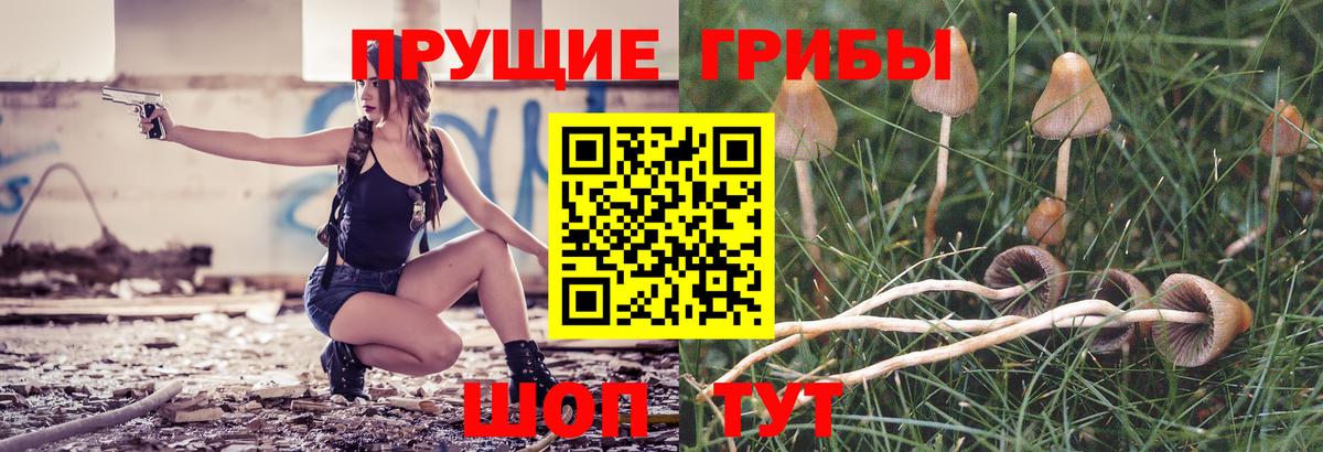 Псилоцибиновые грибы Magic Shrooms Челябинск
